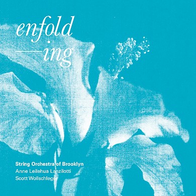 String Orchestra of Brooklyn: enfolding | Catalogue | New Focus